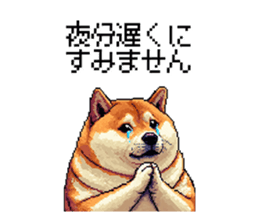 771916486