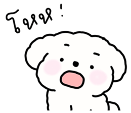 จี หมาน้อยน่ารัก รูปที่ 2