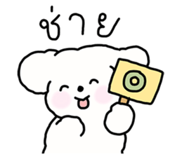 จี หมาน้อยน่ารัก รูปที่ 3