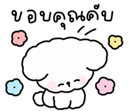 จี หมาน้อยน่ารัก รูปที่ 5