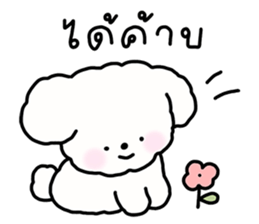 จี หมาน้อยน่ารัก รูปที่ 7