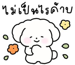 จี หมาน้อยน่ารัก รูปที่ 13
