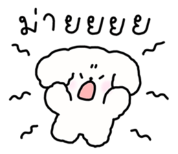 จี หมาน้อยน่ารัก รูปที่ 15