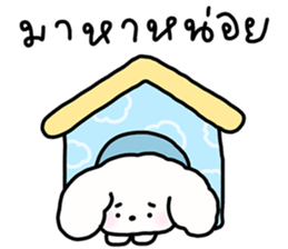 จี หมาน้อยน่ารัก รูปที่ 17