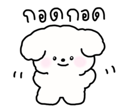 จี หมาน้อยน่ารัก รูปที่ 20