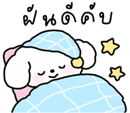 จี หมาน้อยน่ารัก รูปที่ 21