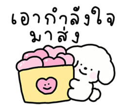 จี หมาน้อยน่ารัก รูปที่ 24