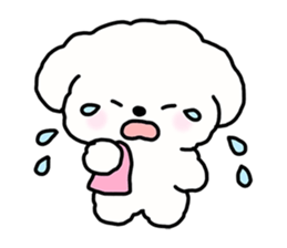 จี หมาน้อยน่ารัก รูปที่ 25