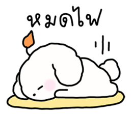 จี หมาน้อยน่ารัก รูปที่ 29