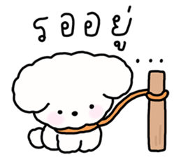จี หมาน้อยน่ารัก รูปที่ 31