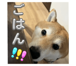 771927953