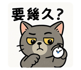 771937304
