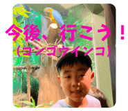 771947195