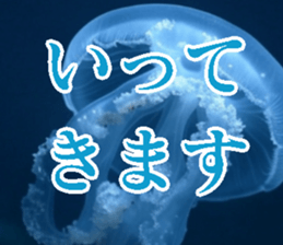 771981652