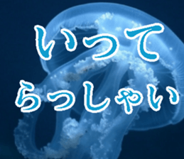 771981653