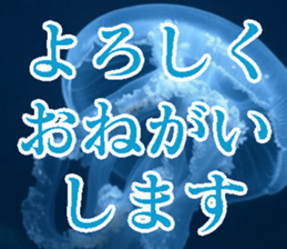 771981654