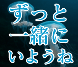 771981663