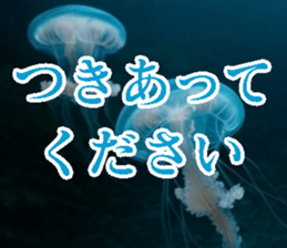 771981668