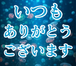 771981681
