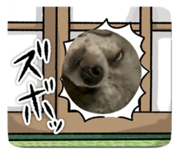 771993277