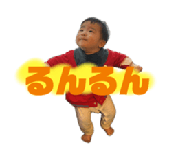 771995255