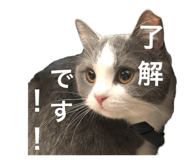 772003658