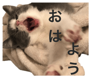 772012785