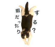 772012786
