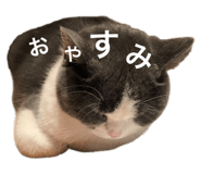 772012788