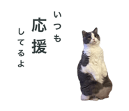 772012789