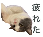 772012792