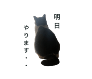 772012795