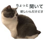 772012798