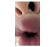 772014595