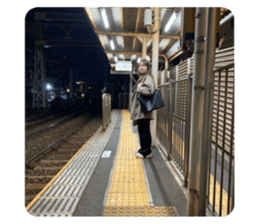 772031253