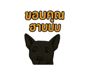 772032706