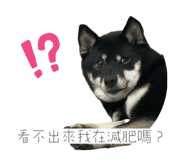 772048128