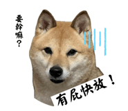 772048132