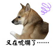 772048133