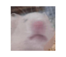 772048270