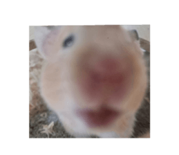 772048277