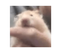 772048280
