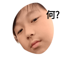 772054730