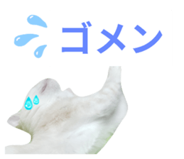 772056808