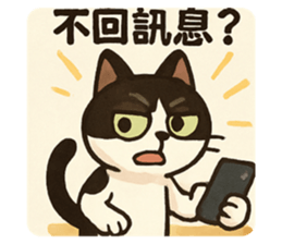 772057627
