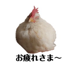 772060308