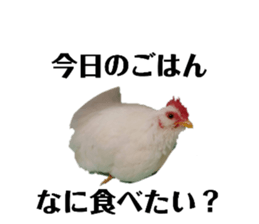 772060320