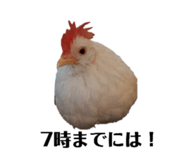 772060324