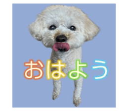 772060547