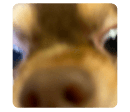 772075128